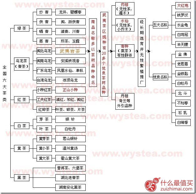 一张图搞清楚中国茶叶分类-图片2
